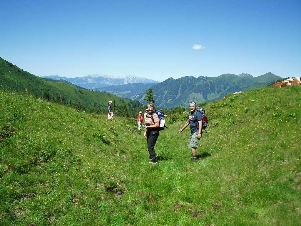 Der Perweinhof Donnersbachwald Exterior foto