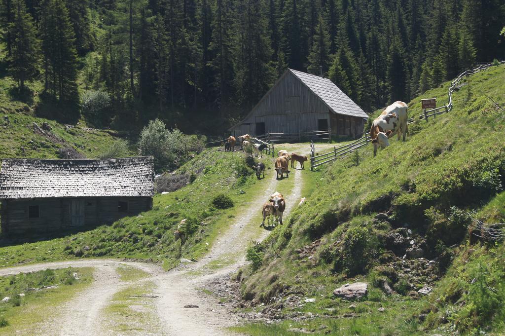 Der Perweinhof Donnersbachwald Exterior foto