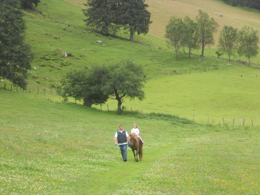 Der Perweinhof Donnersbachwald Exterior foto