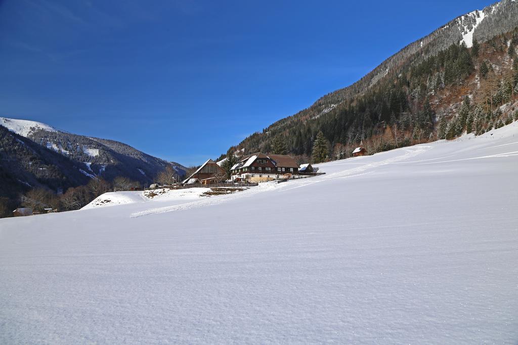 Der Perweinhof Donnersbachwald Exterior foto
