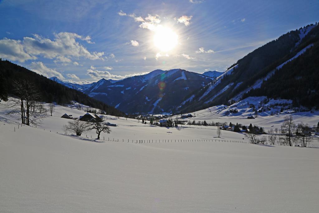 Der Perweinhof Donnersbachwald Exterior foto